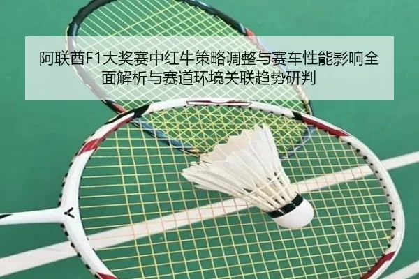 阿联酋F1大奖赛中红牛策略调整与赛车性能影响全面解析与赛道环境关联趋势研判