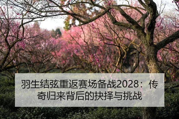 羽生结弦重返赛场备战2028：传奇归来背后的抉择与挑战