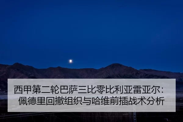 xi-jia-di-er-lun-ba-sa-san-bi-ling-bi-li-ya-lei-ya-er-pei-de-li-hui-che-zu-zhi-yu-ha-wei-qian-cha-zhan-shu-fen-xi-2-802.jpg